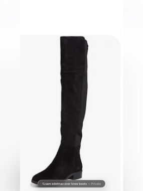 Sam Eidelman  Black Over-the-Knee Suede Block Heel Boots
